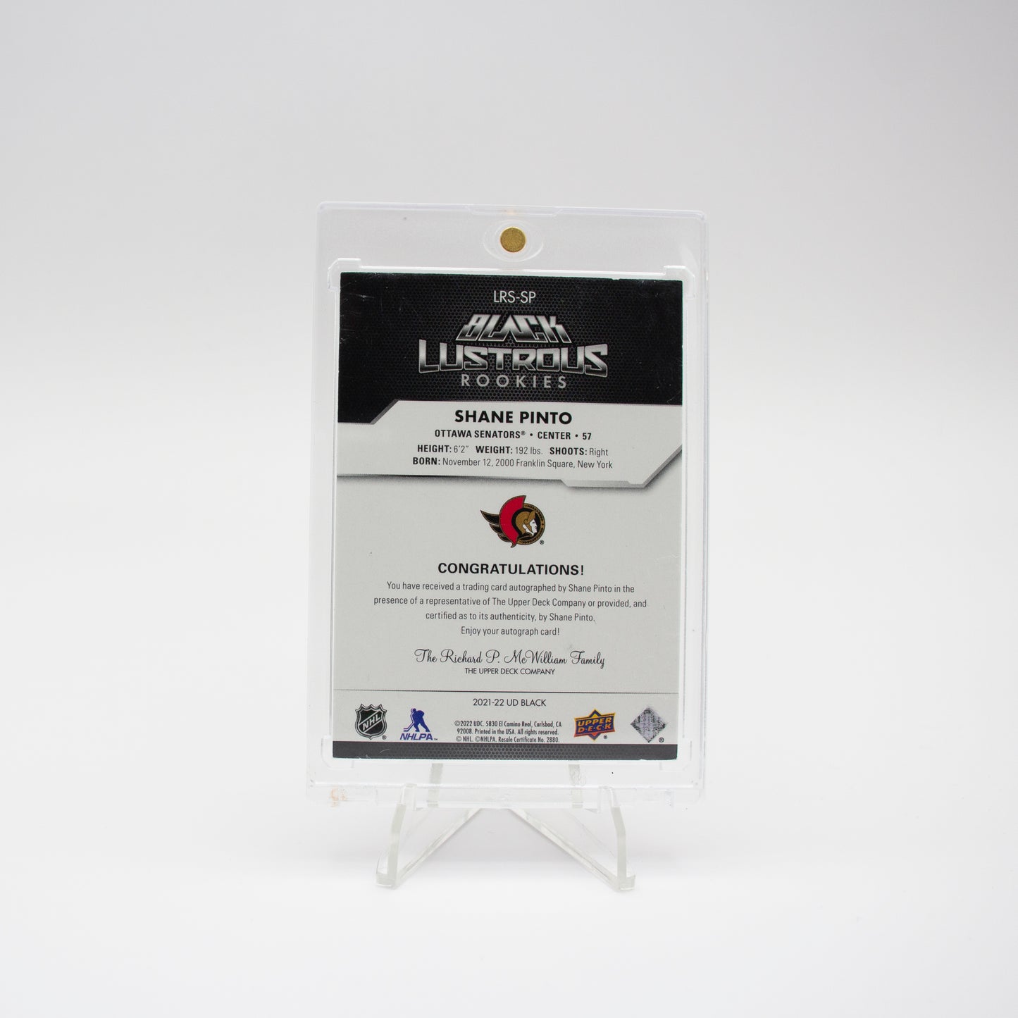 2023-24 UD BLACK - BLACK LUSTROUS ROOKIE - SHANE PINTO /199